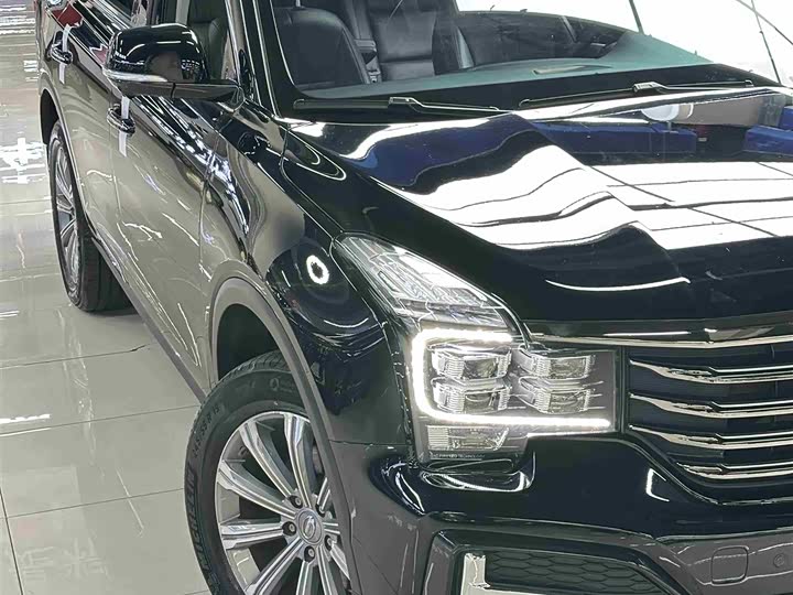 GAC Trumpchi GS8 2020 2020款 390T 两驱豪华智联纪念版（七座）