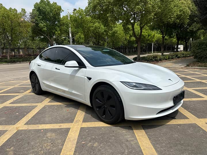 Tesla Model 3 2025 2025款 改款 后轮驱动版