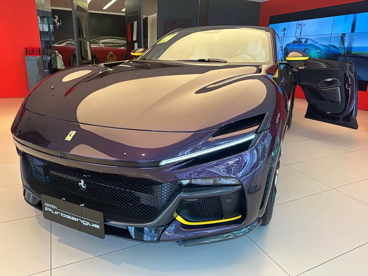 Ferrari Purosangue 2023 2023款 6.5L V12