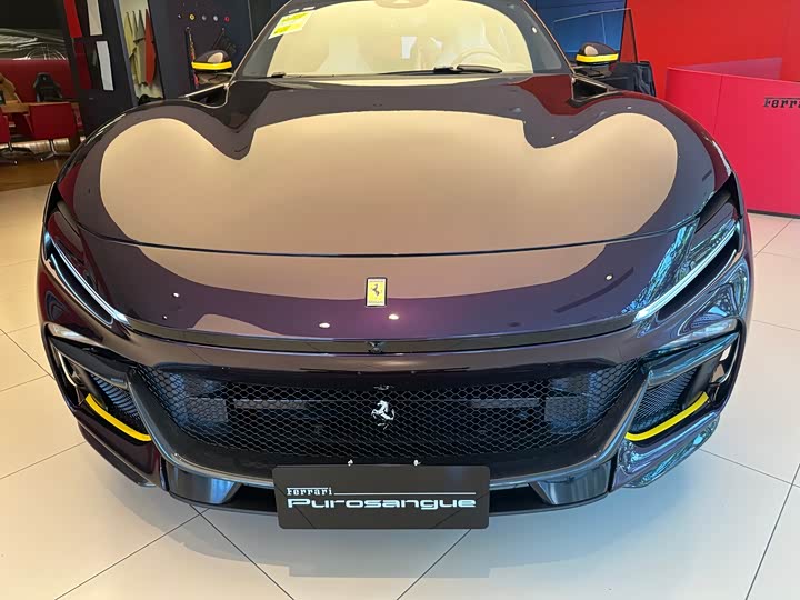 Ferrari Purosangue 2023 2023款 6.5L V12