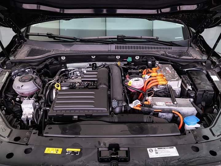 Volkswagen Passat Hybrid 2025 2025款 430PHEV 混动商务版