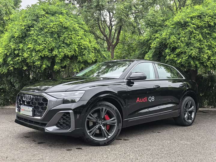Audi Q8 2024 2024款 55 TFSI 豪华动感型