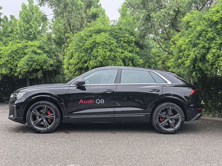 Audi Q8 2024 2024款 55 TFSI 豪华动感型