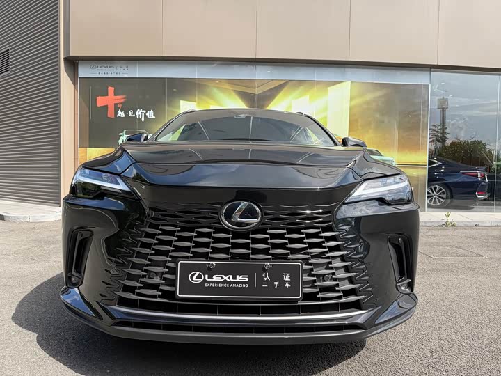 Lexus RX 2023 2023款 350h 两驱舒享版