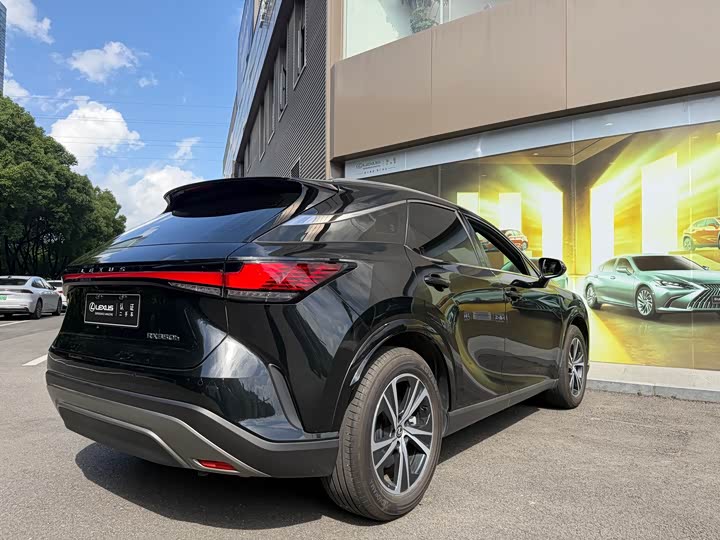 Lexus RX 2023 2023款 350h 两驱舒享版