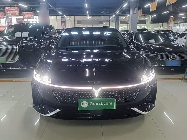 Voyah Passion 2024 2024款 PHEV 四驱超长续航旗舰版
