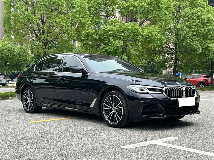 Zdjęcie 3 - BMW 5 Series