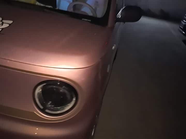 Geely Galaxy Panda Mini 2023 2023款 熊猫mini 200km 耐力熊