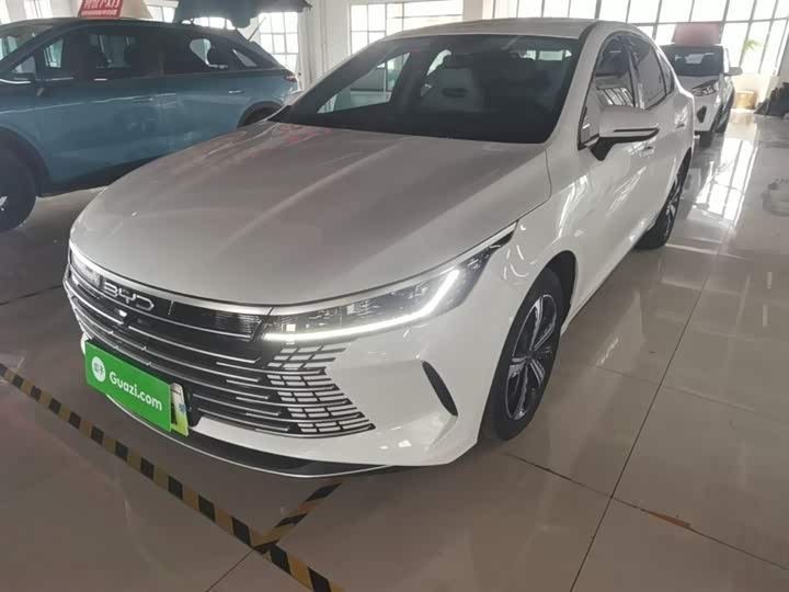 Zdjęcie 2 - BYD Destroyer 05