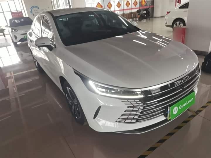 Zdjęcie 4 - BYD Destroyer 05