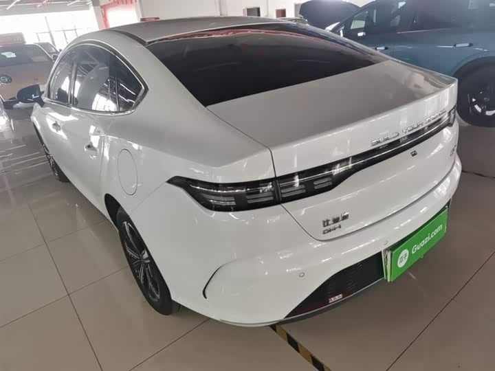 Zdjęcie 5 - BYD Destroyer 05