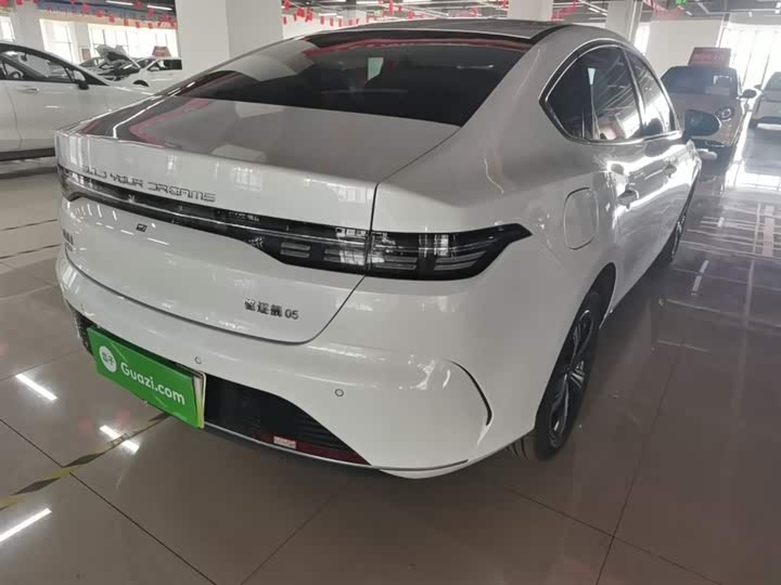 Zdjęcie 7 - BYD Destroyer 05
