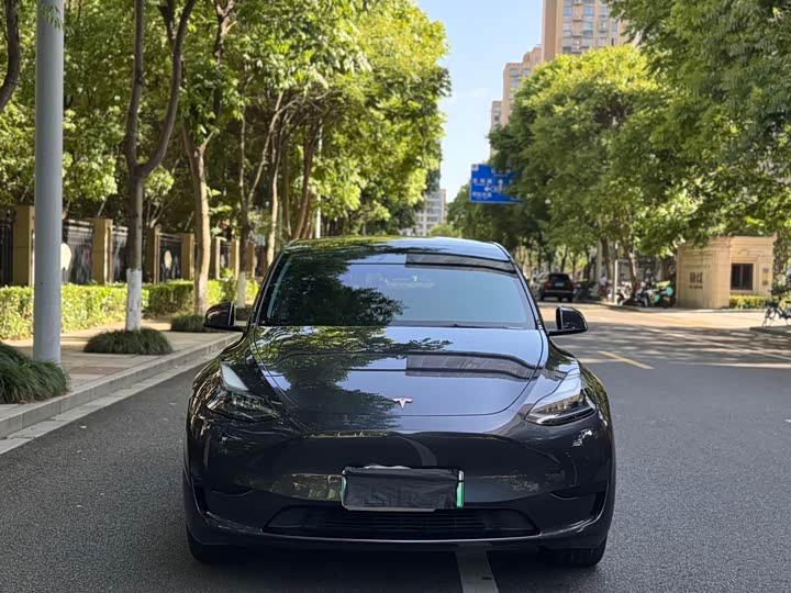 Фото 2 - Tesla Model Y