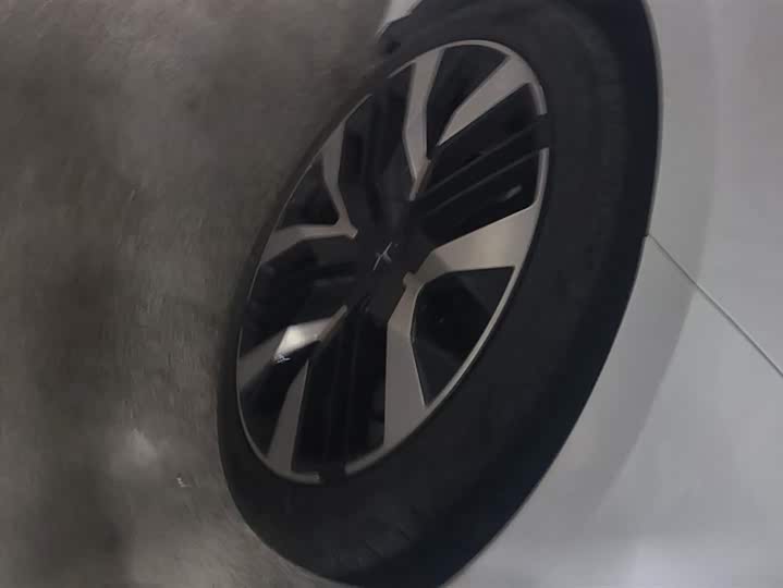 Polestar 4 2023 2023款 双电机高性能PLUS