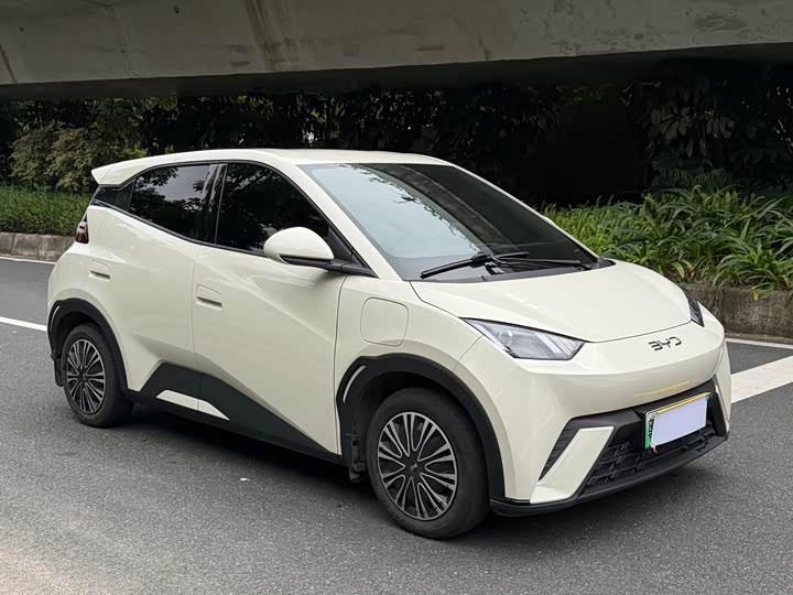 Фото 3 - BYD Seagull