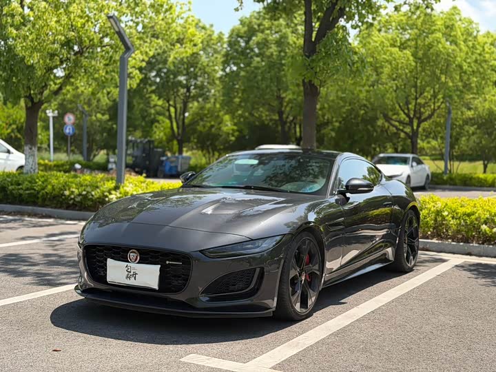 Jaguar F-Type 2021 2021款 P380 全驱V6赛道传奇版