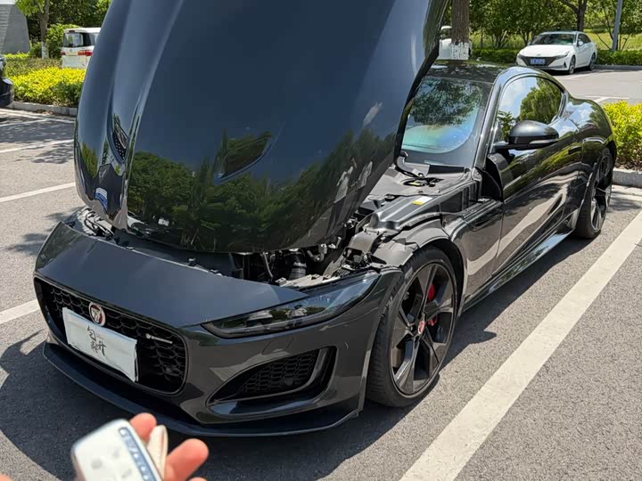 Jaguar F-Type 2021 2021款 P380 全驱V6赛道传奇版