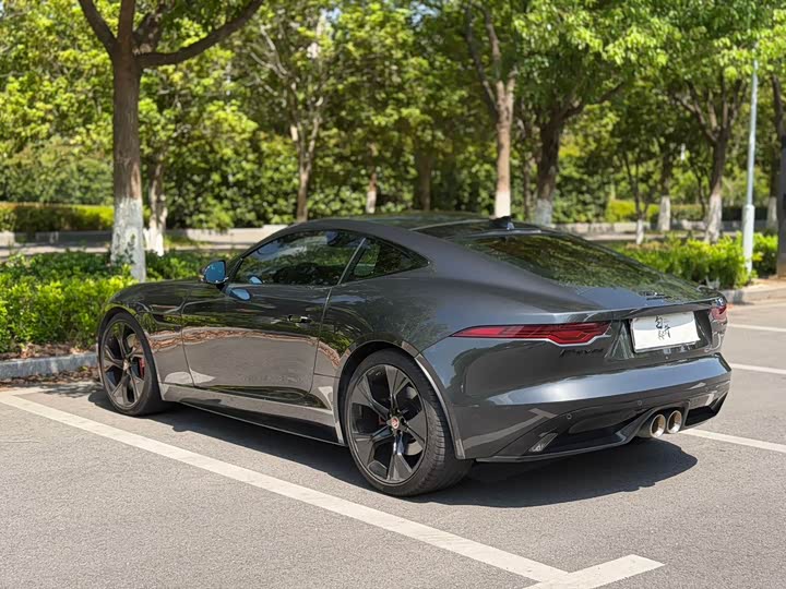 Jaguar F-Type 2021 2021款 P380 全驱V6赛道传奇版