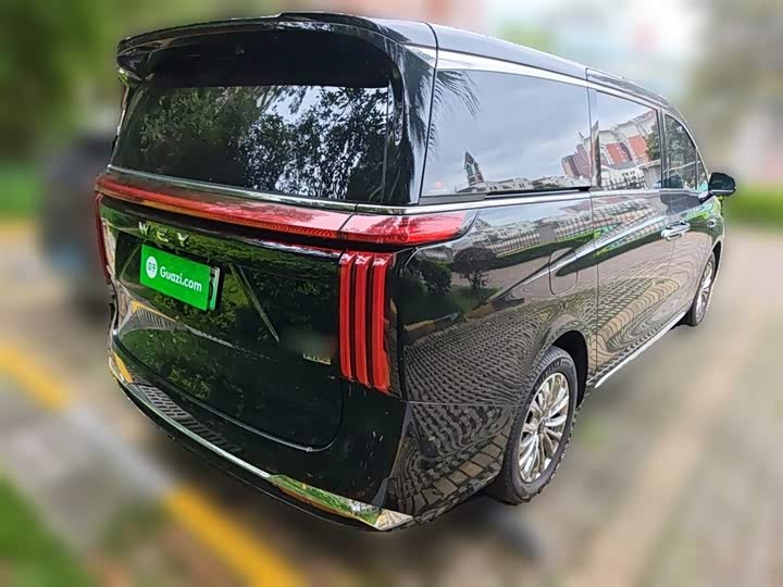 Wey Gaoshan 2025 2025款 四驱高山8