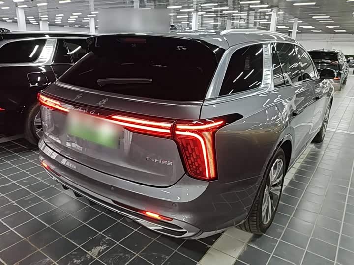 Hongqi E-HS9 2022 2022款 660km 旗畅版 六座