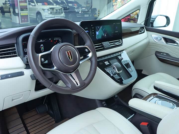 Zdjęcie 6 - Hongqi HQ9