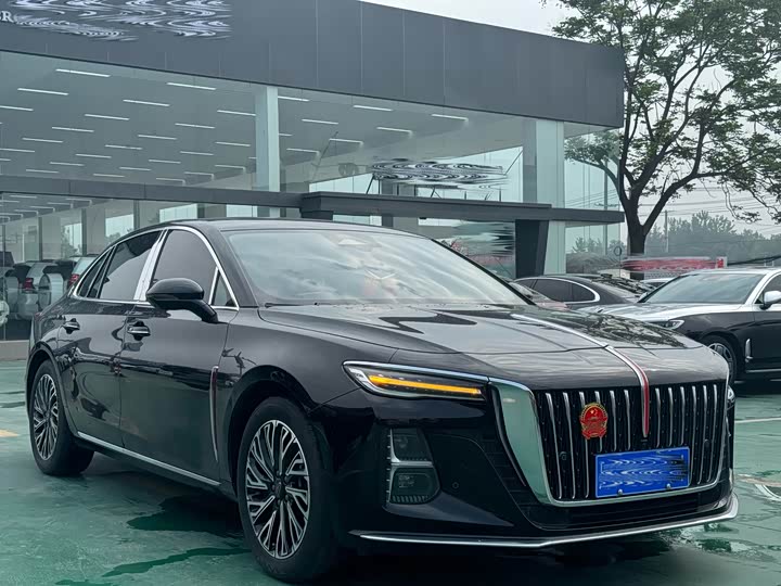 Zdjęcie 3 - Hongqi H5
