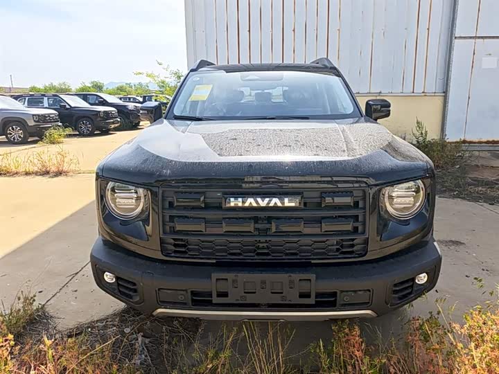 Haval Dargo 2026 2026款 1.5T DCT边牧版
