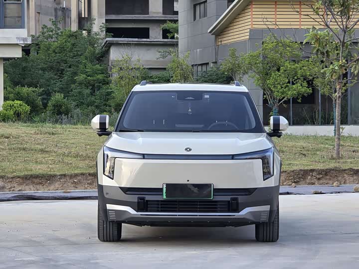 2025 Dongfeng Yipai Nano 06