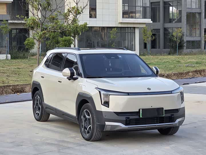 2025 Dongfeng Yipai Nano 06