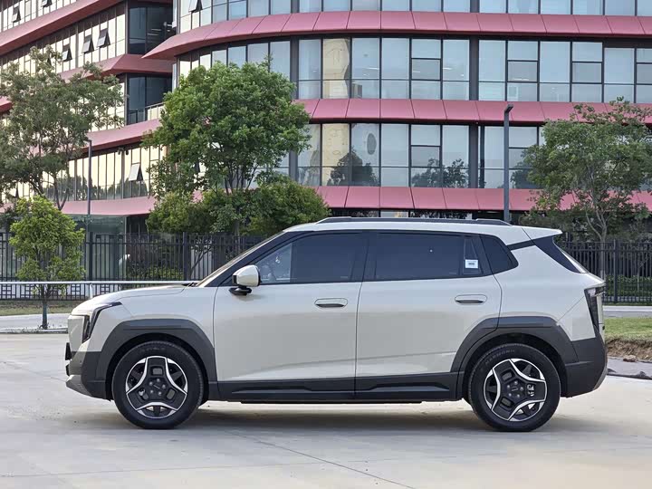 2025 Dongfeng Yipai Nano 06