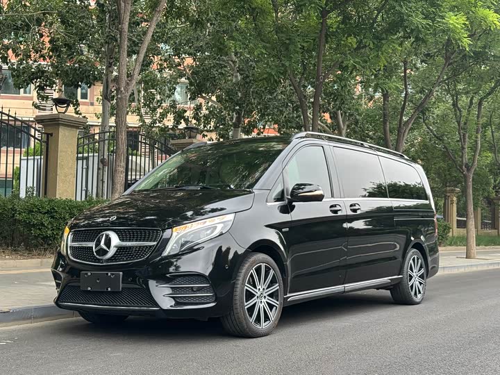 Mercedes-Benz V-Class 2022 2022款 V 260 L 长轴距豪华版