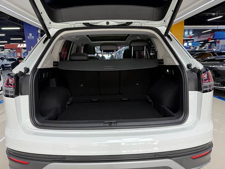 Volkswagen Tayron 2024 2024款 330TSI 两驱豪华Plus进阶版