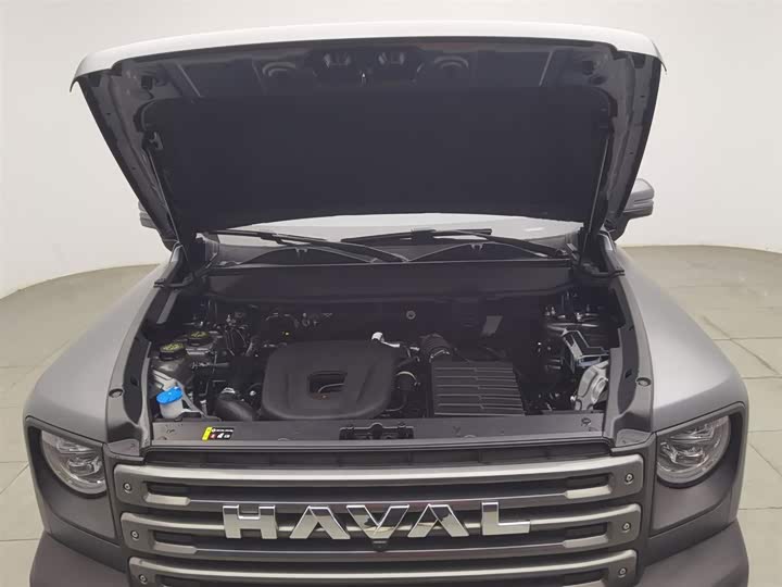 Haval Raptor Hybrid 2024 2024款 Hi4 102 Pro