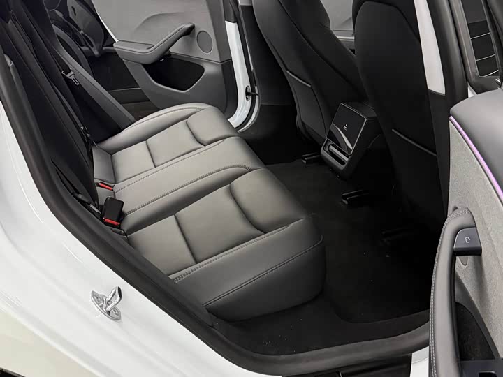 Tesla Model 3 2025 2025款 改款 后轮驱动版