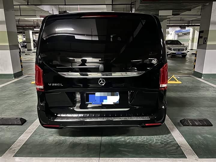 Mercedes-Benz V-Class 2022 2022款 V 260 L 长轴距豪华版