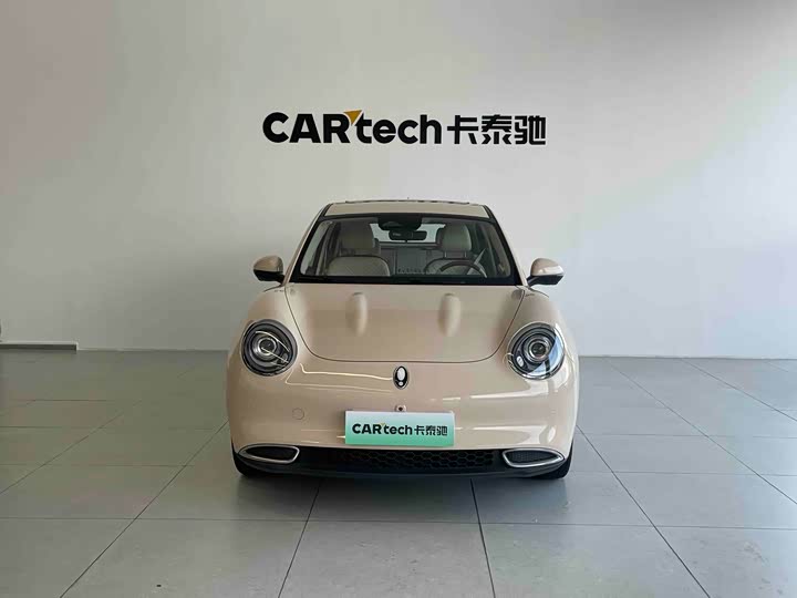 Ora Good Cat (03) 2023 2023款 401km标准续航 尊贵型 磷酸铁锂