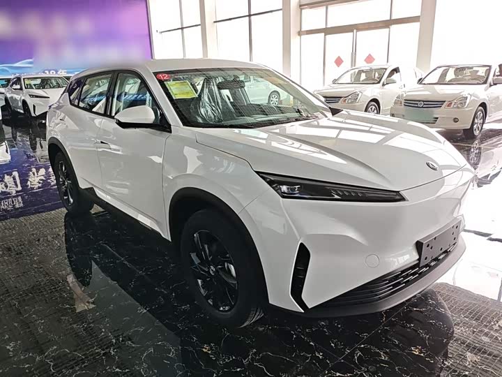 Dongfeng Aeolus Sky EV01 2025 2025款 530km AIR精英版