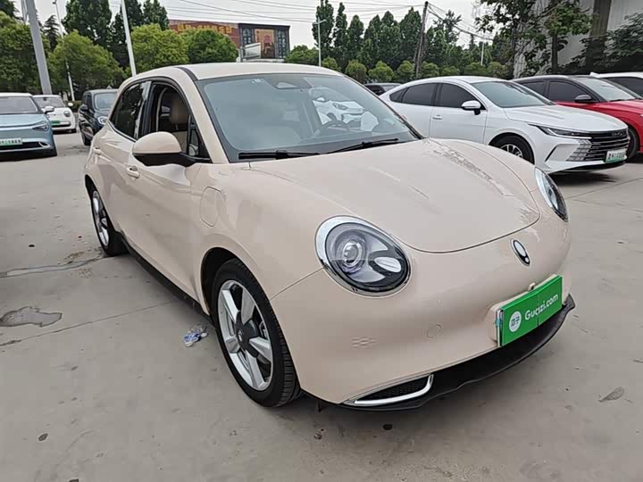 Ora Good Cat (03) 2023 2023款 401km标准续航 尊贵型 磷酸铁锂