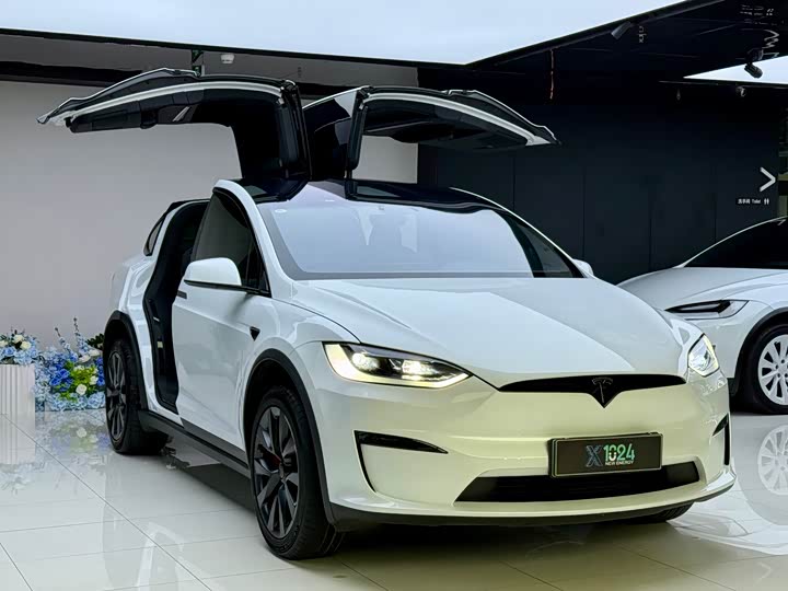2023 Tesla Model X