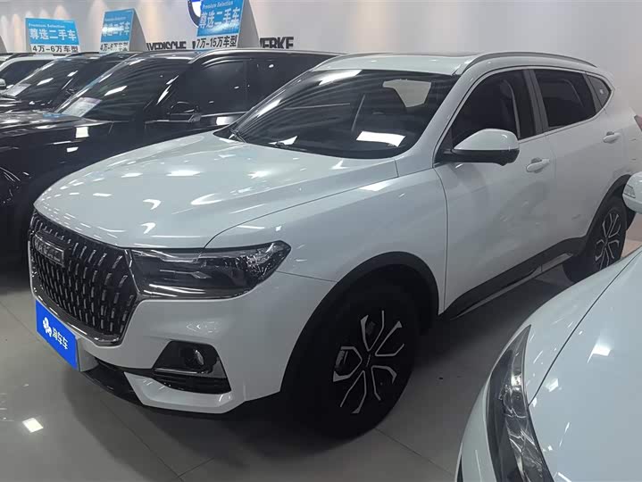 Haval H6 2025 2025款 1.5T 国潮都市版