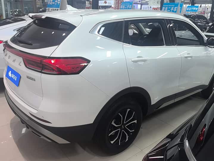 Haval H6 2025 2025款 1.5T 国潮都市版