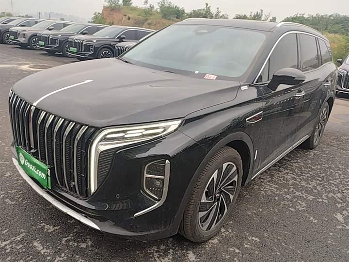 Фото 1 - Hongqi HS7 Hybrid