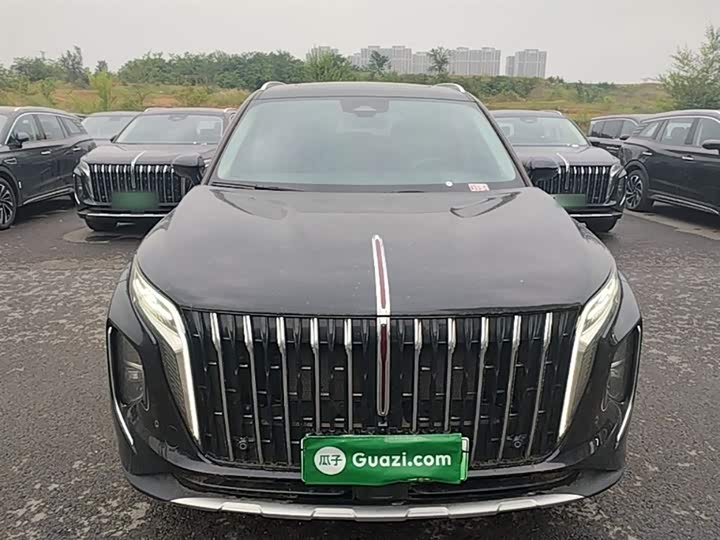 Фото 3 - Hongqi HS7 Hybrid