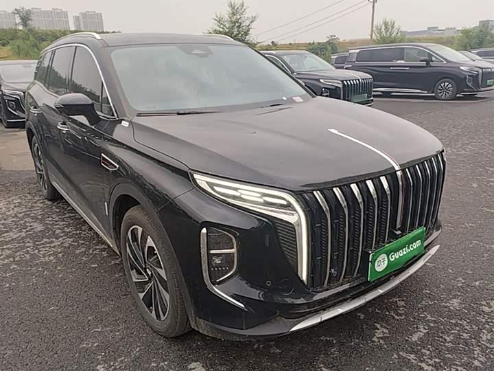 Фото 4 - Hongqi HS7 Hybrid