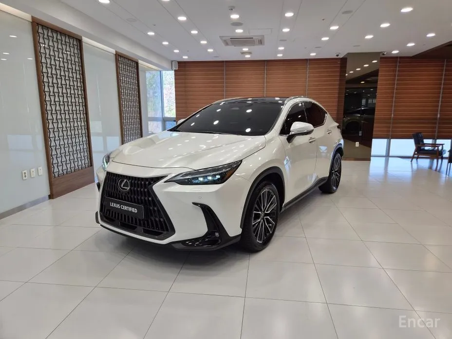 2022 Lexus NX