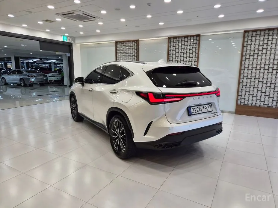 2022 Lexus NX