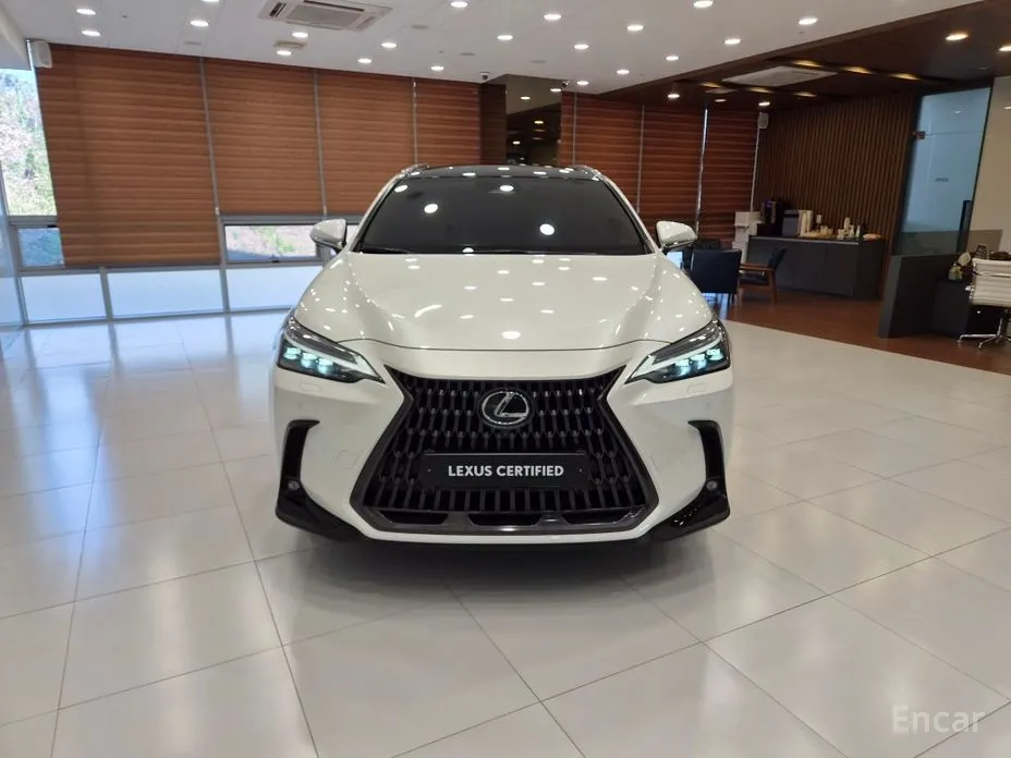 2022 Lexus NX