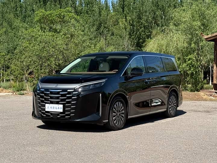 BYD Xia 2025 2025款 DM-i 1.5T 180km 超越型