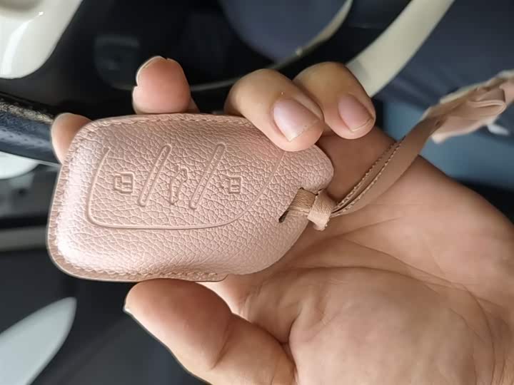Roewe Clever 2022 2022款 311km元气啵啵版