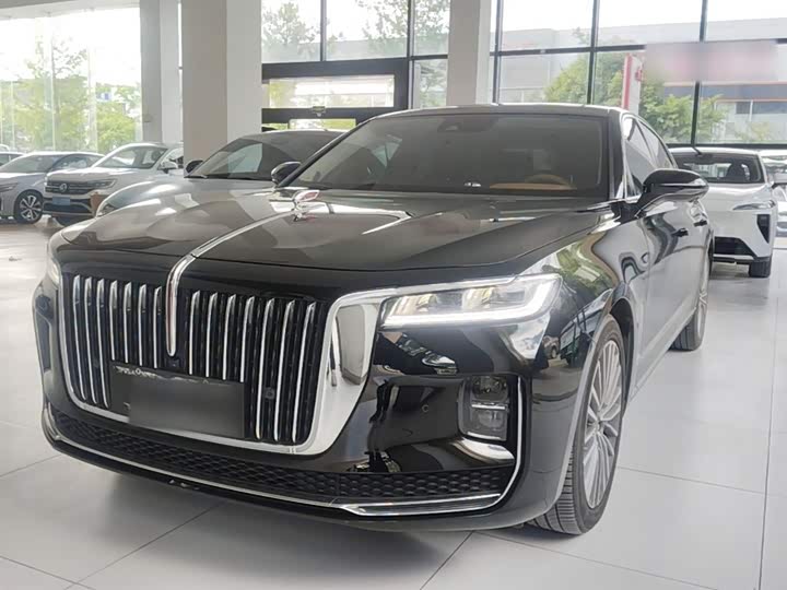 Zdjęcie 2 - Hongqi H9